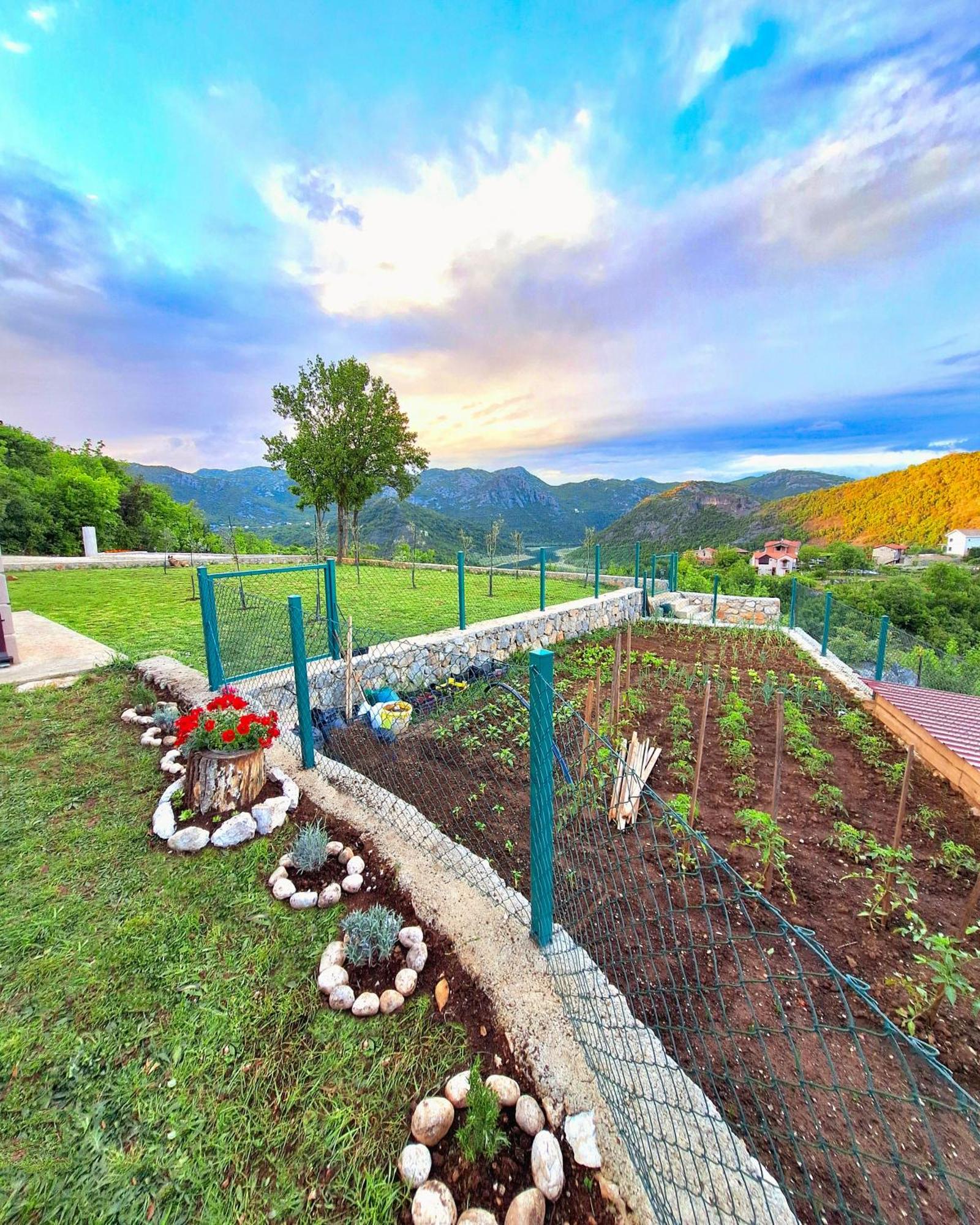 Sunny Side Apartments Rijeka Crnojevića 外观 照片